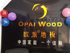 揚中歐派地板專賣店11.18特惠活動