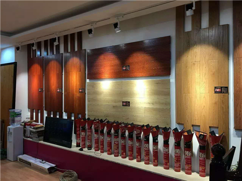 歐派地板團(tuán)購嘉年華