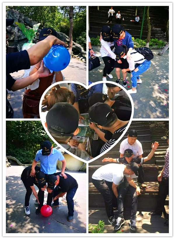 歐派地板2017年拓展活動