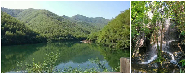 歐派地板2017年拓展活動