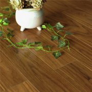 OP-GX33 番龍眼實(shí)木地板