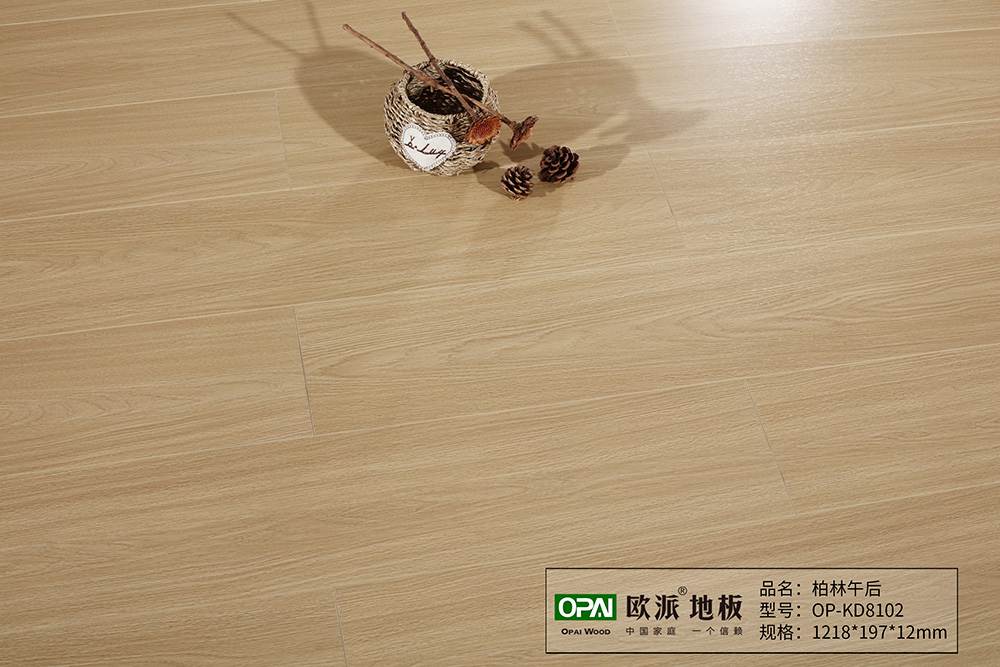 OP-KD8102柏林午后