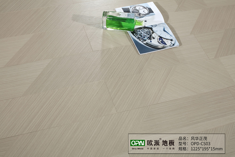 OPD-CS03風(fēng)華正茂